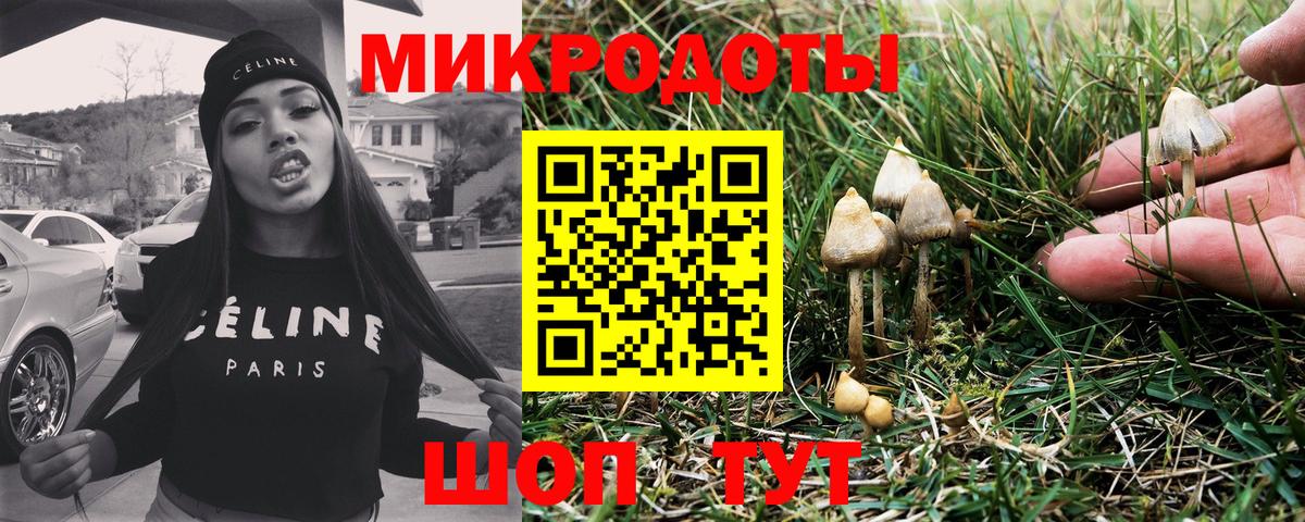 Псилоцибиновые грибы мухоморы Орск